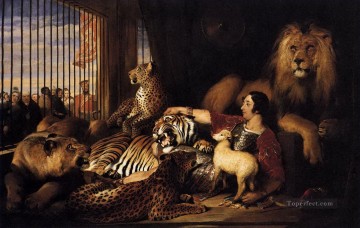 lion tiger sheep leopard landseer amburgh Oil Paintings
